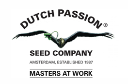 dutch passion